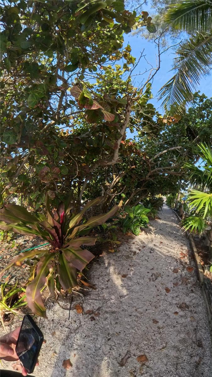 ILEXHURST - Residential