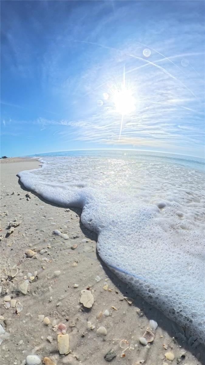 ILEXHURST - Residential