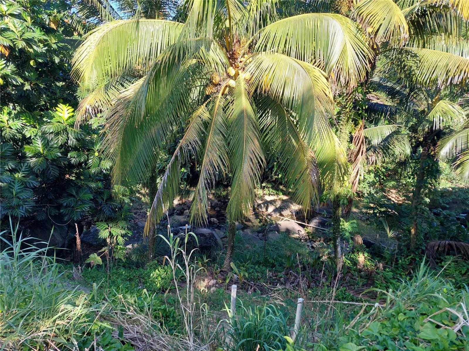 BARRIO ESPINO SAN LORENZO - Residential