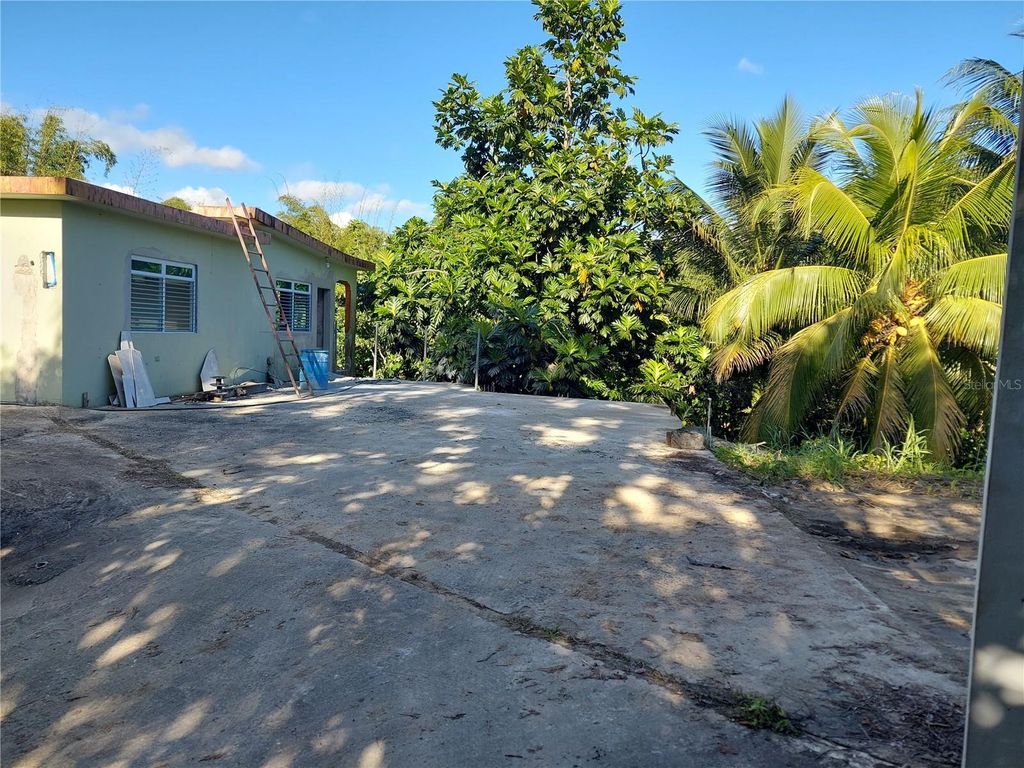 Photo of 181 Barrio Espino, San Lorenzo, PR 00754 (MLS # PR9117811)