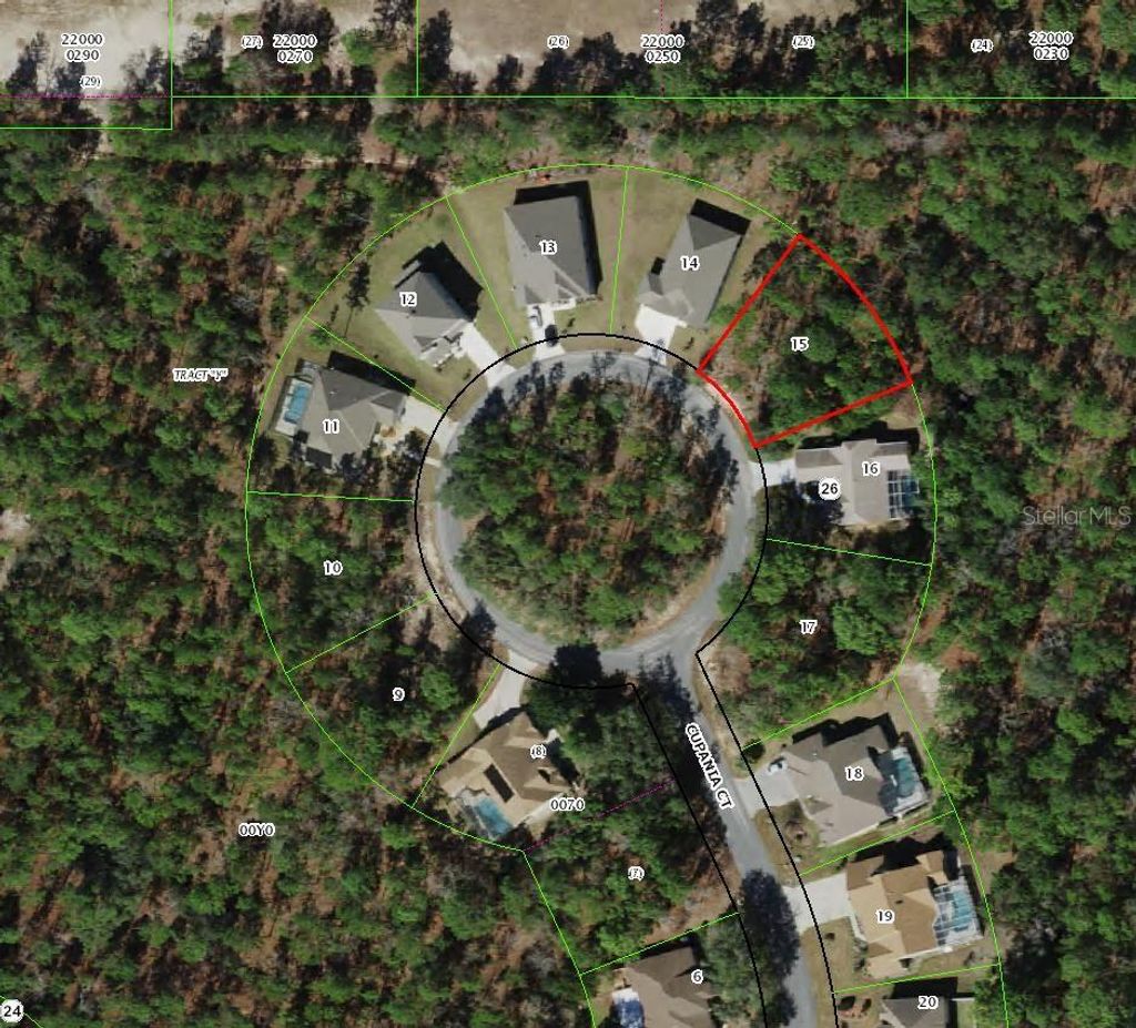 Photo of 21 Cupania Court, Homosassa, FL 34446 (MLS # TB8475957)