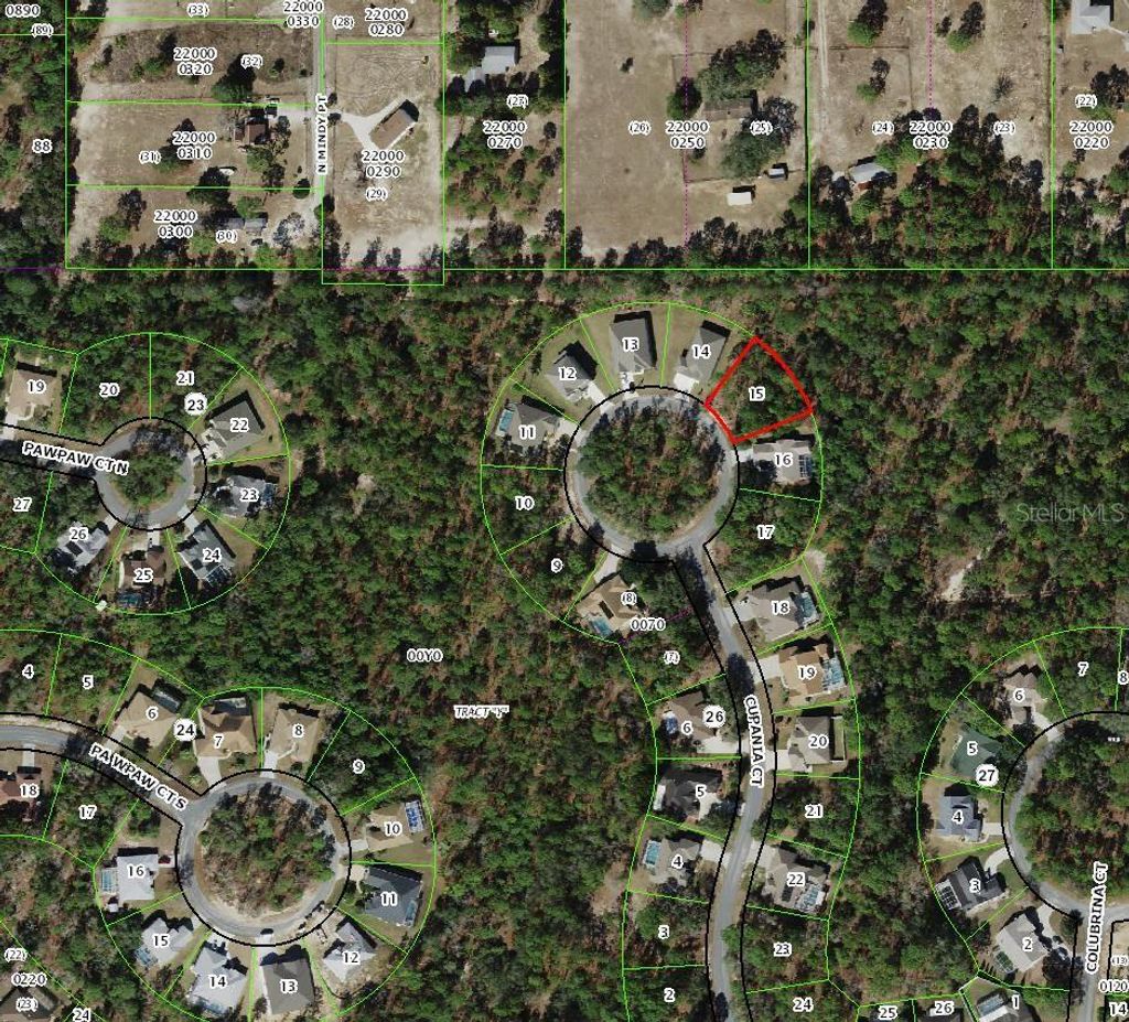 Photo of 21 Cupania Court, Homosassa, FL 34446 (MLS # TB8475957)