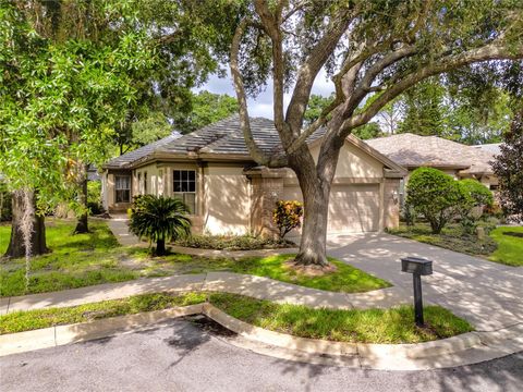 A home in PALM HARBOR