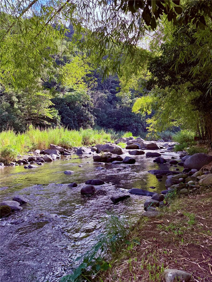 BO JAGUAS - Residential