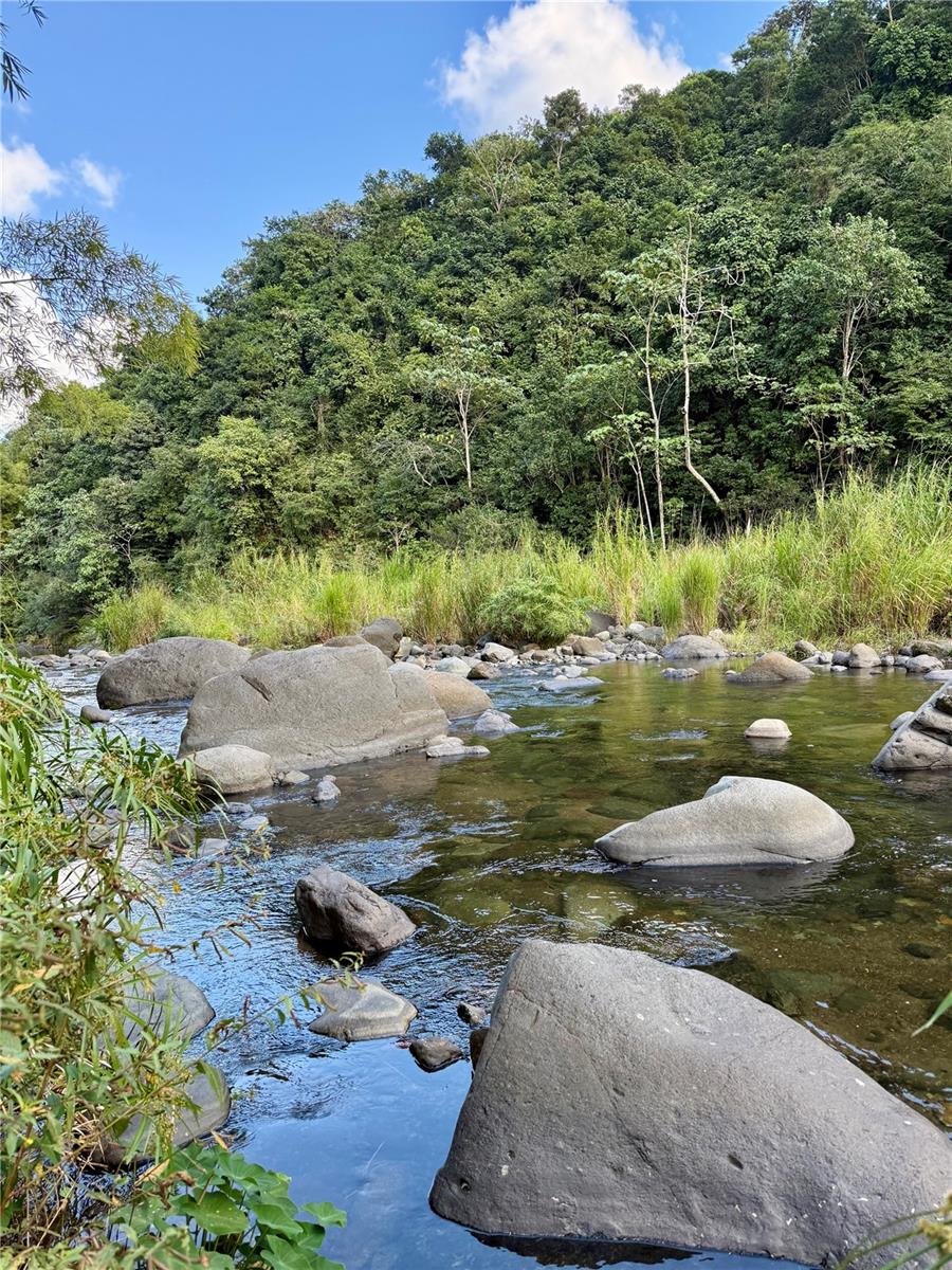 BO JAGUAS - Residential