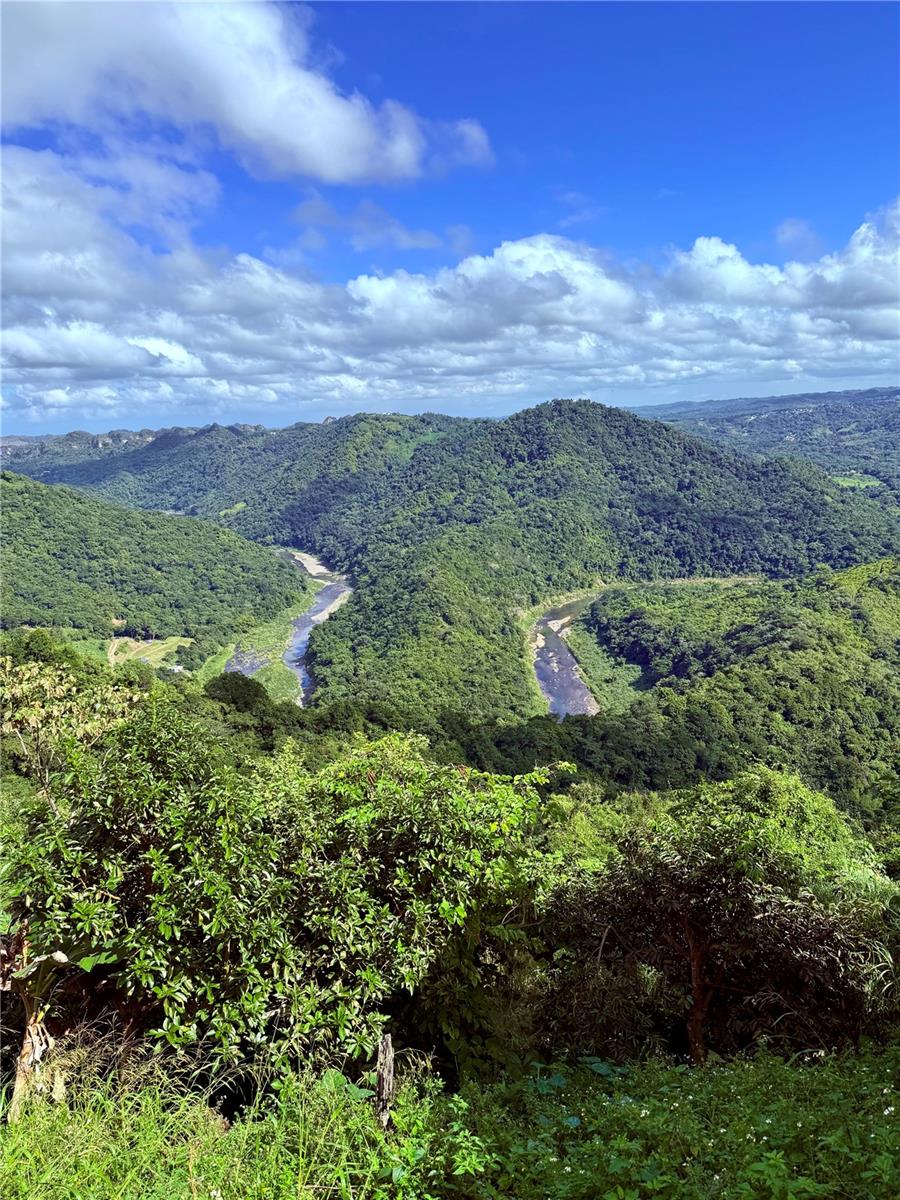 BO JAGUAS - Residential