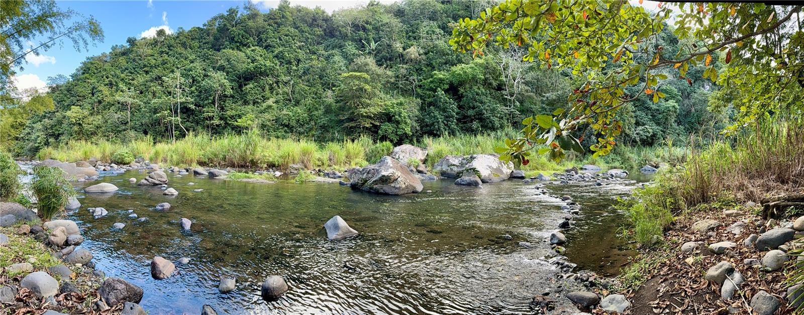 BO JAGUAS - Residential