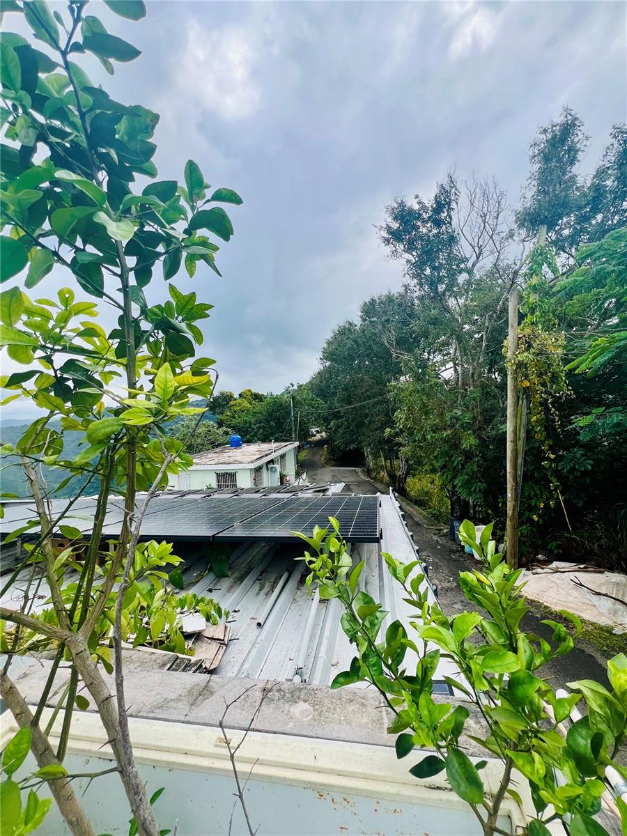 BO JAGUAS - Residential