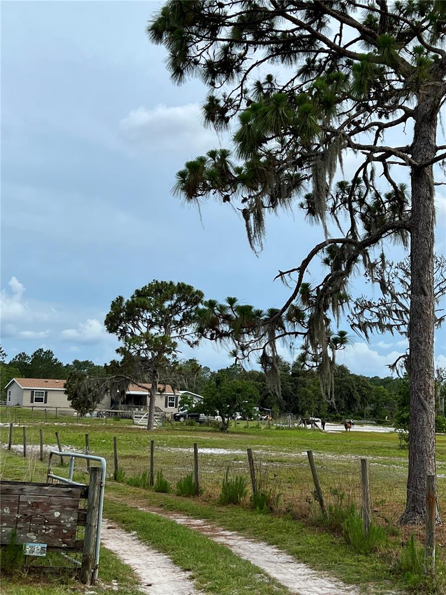 Nestled just outside downtown Lake Helen is this beautiful 11 acre farm, riding distance to the town equestrian arena, tennis courts and family playground. Home is located on a very quiet street where there is only one way in and one way out. This three bedroom two bath home features a large kitchen with eating area overlooking the dining room and fireplace. Large Master bedroom and bathroom with huge closet and storage.
Bring the horses, you will love the 18 stall barn with paddocks attached to each stall. There is an additional building with an office/workshops on each side and an apartment in the center. Priced below market value, won't last long!