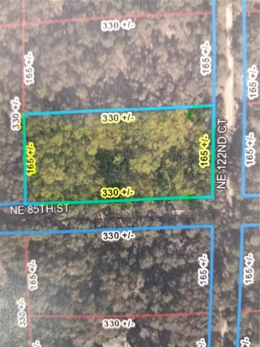 1.250 acres ( 330 SQ  x 165 ) 54,450 square foot , cornet lot. Opportunity to build a house with the taxes rate and utilities services lower in Estate of Florida.