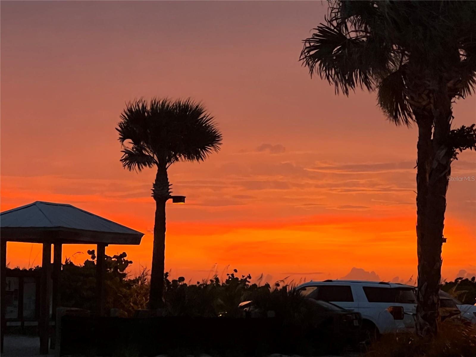 PALM POINT - Residential