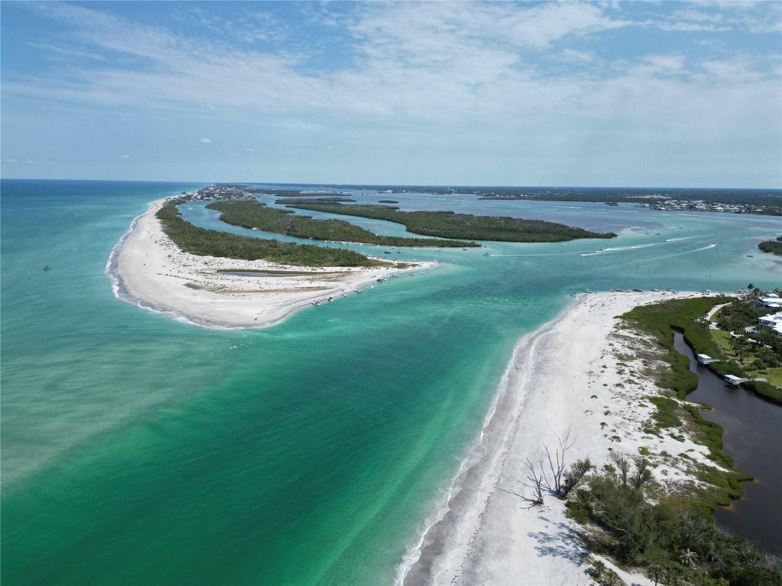 PALM POINT - Residential