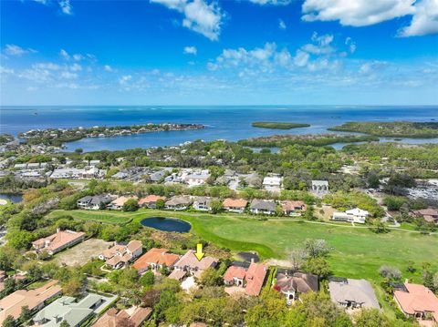 A home in PALM HARBOR