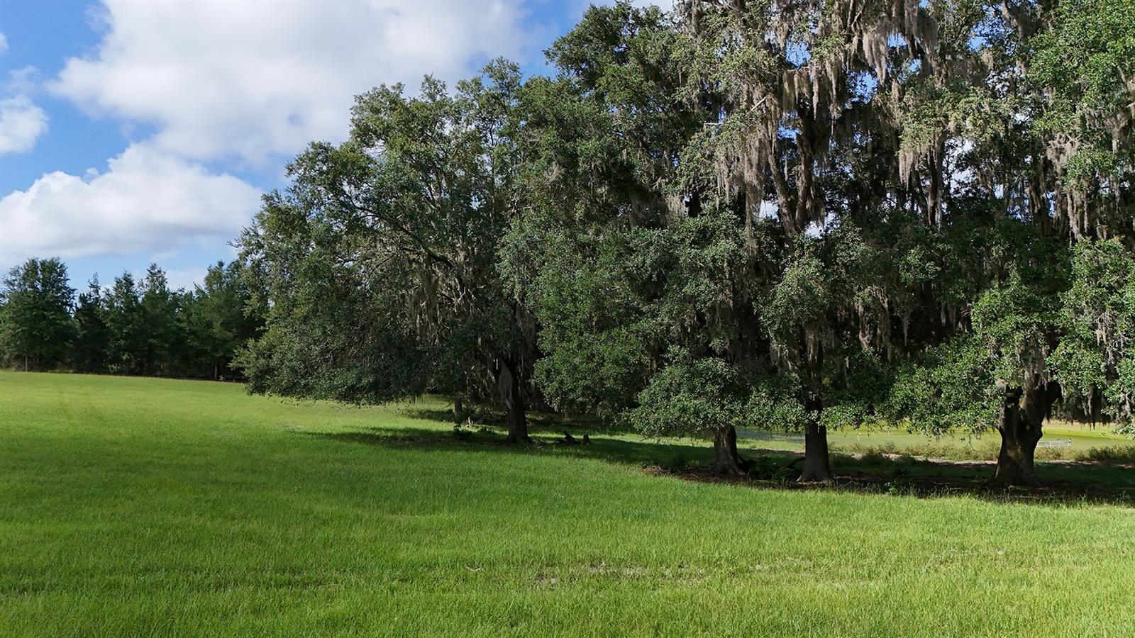 SW COUNTY ROAD 778