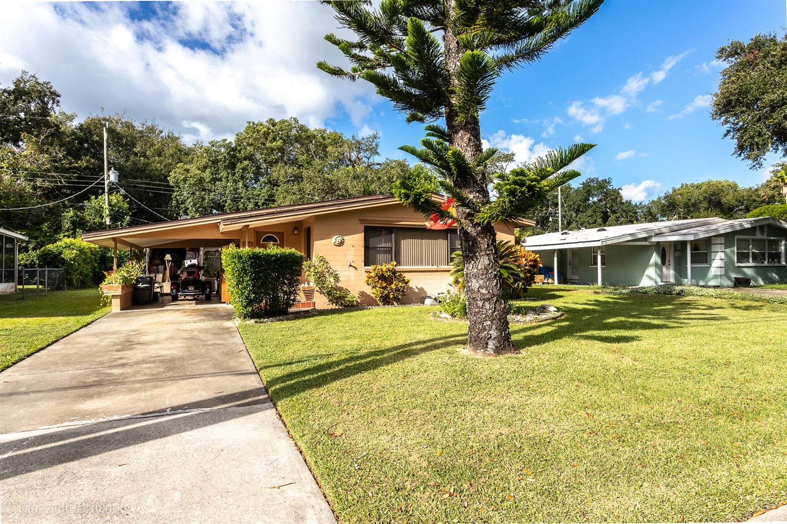 Tropical Palm Terrace - Residential
