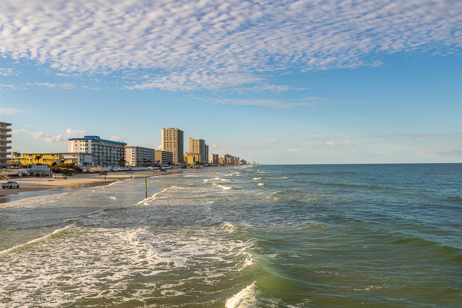 Tropical Palm Terrace - Residential