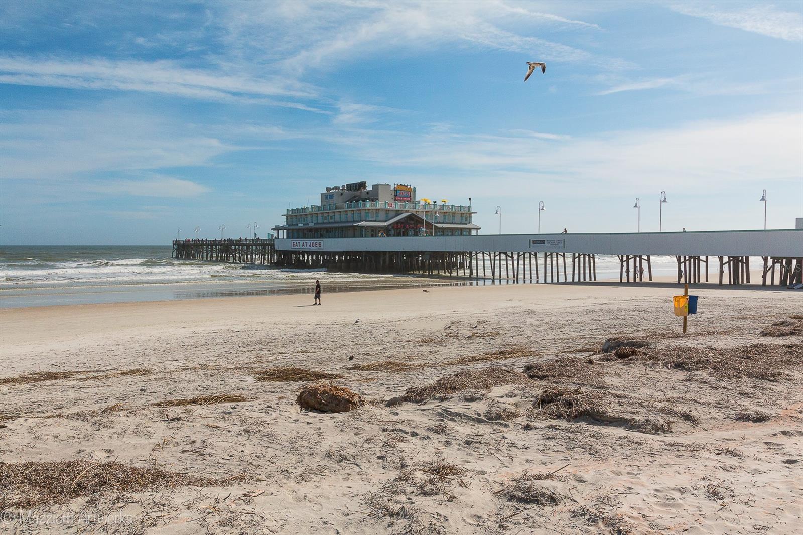 Tropical Palm Terrace - Residential