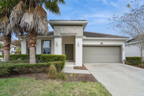 4521 MONADO DRIVE KISSIMMEE FL 34746