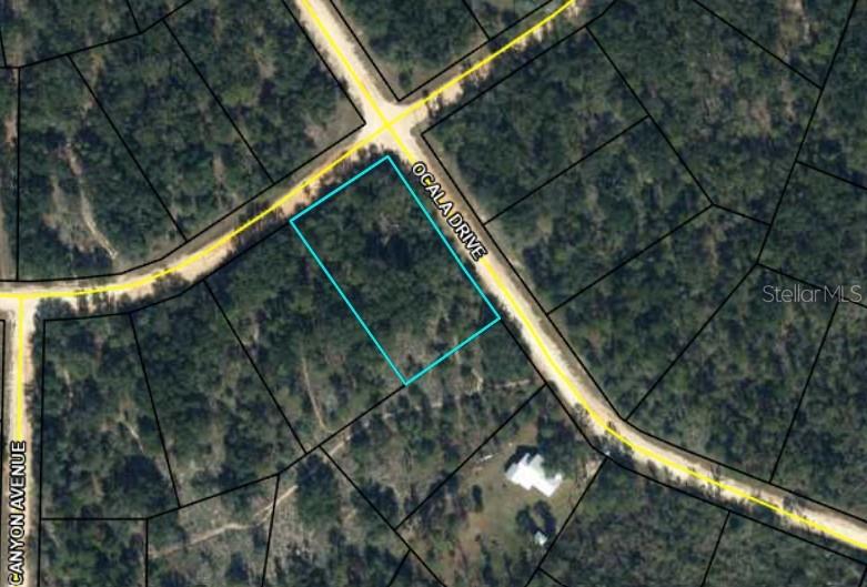 Discover the perfect canvas for your dream home with this corner residential lot located in the desirable Compass Lake in the Hills subdivision. This serene and private setting offers the ideal backdrop for your future residence while providing access to a variety of amenities through an optional HOA, including two picturesque lakes, cabin rentals, a community pavilion, a swimming pool, a golf course, and convenient boat launch and ramp facilities, as well as RV accommodations. Embrace the opportunity to build your vision in a tranquil environment that balances community and nature. Your dream home awaits!