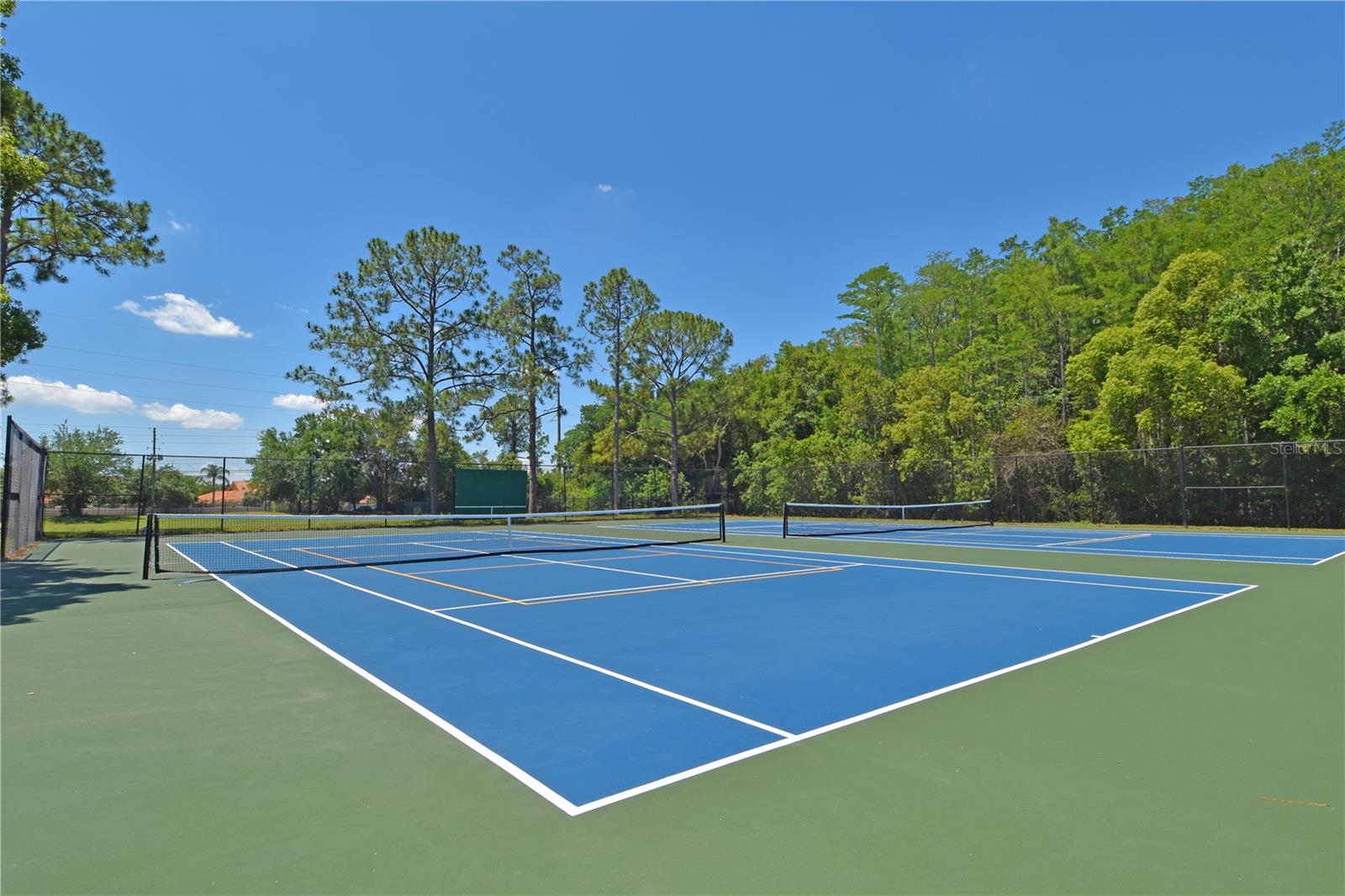 LAKE RIDGE VILLAGE - Residential