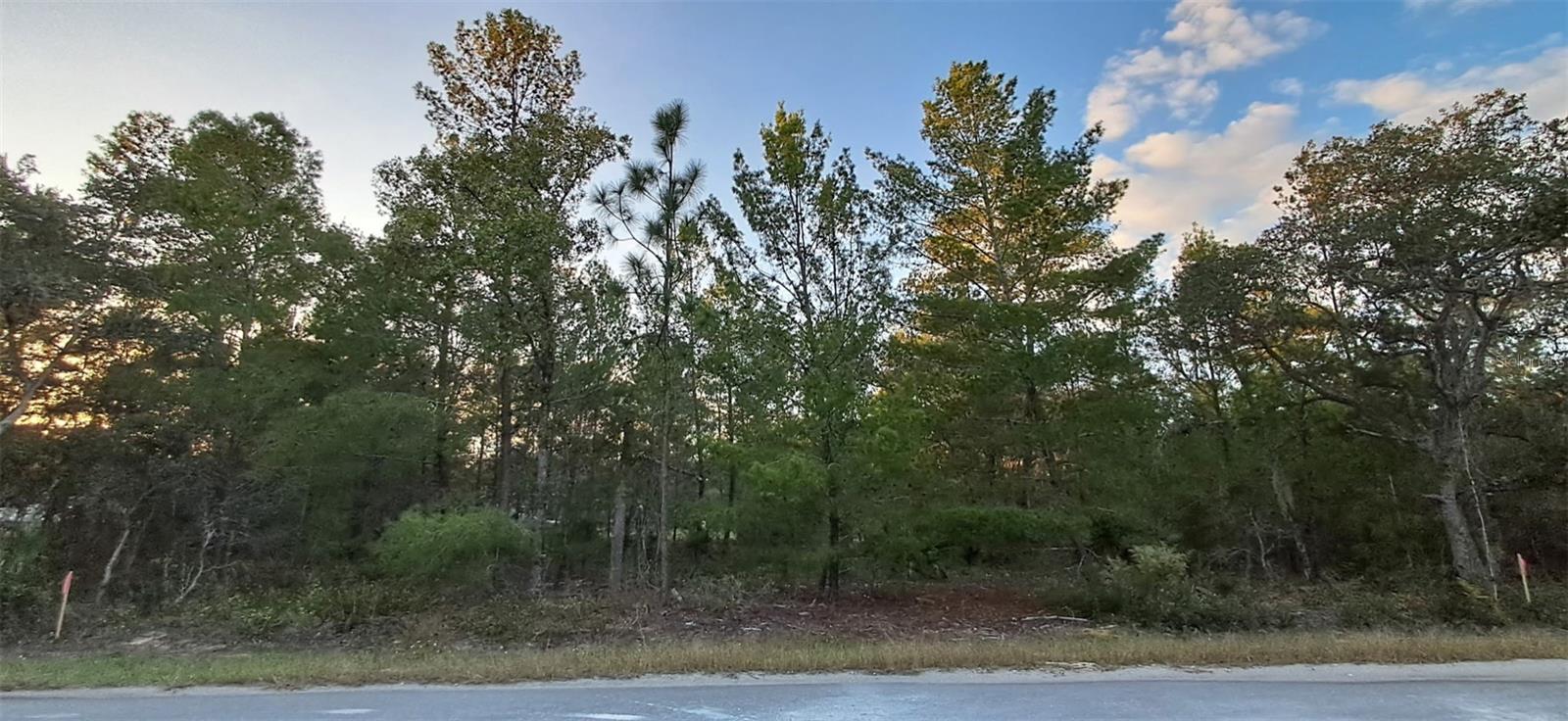 SILVER SPRINGS SHORES - Land