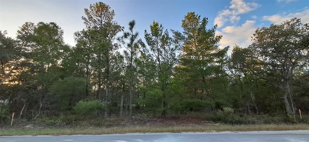 Photo of 0 Fisher Course #9, Ocklawaha, FL 32179 (MLS # OM713167)