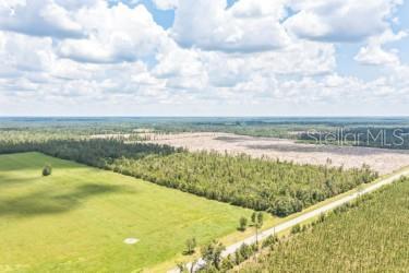 Photo of Cr 53, Lee, FL 32059 (MLS # V4951201)