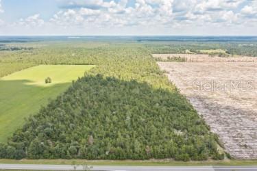Photo of Cr 53, Lee, FL 32059 (MLS # V4951201)