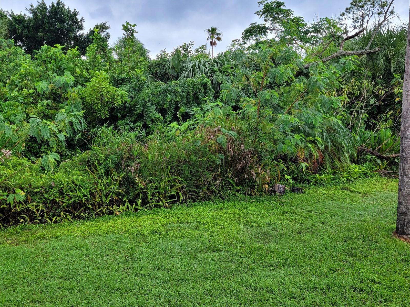 WATERWAYS PH 01 - Residential Lease