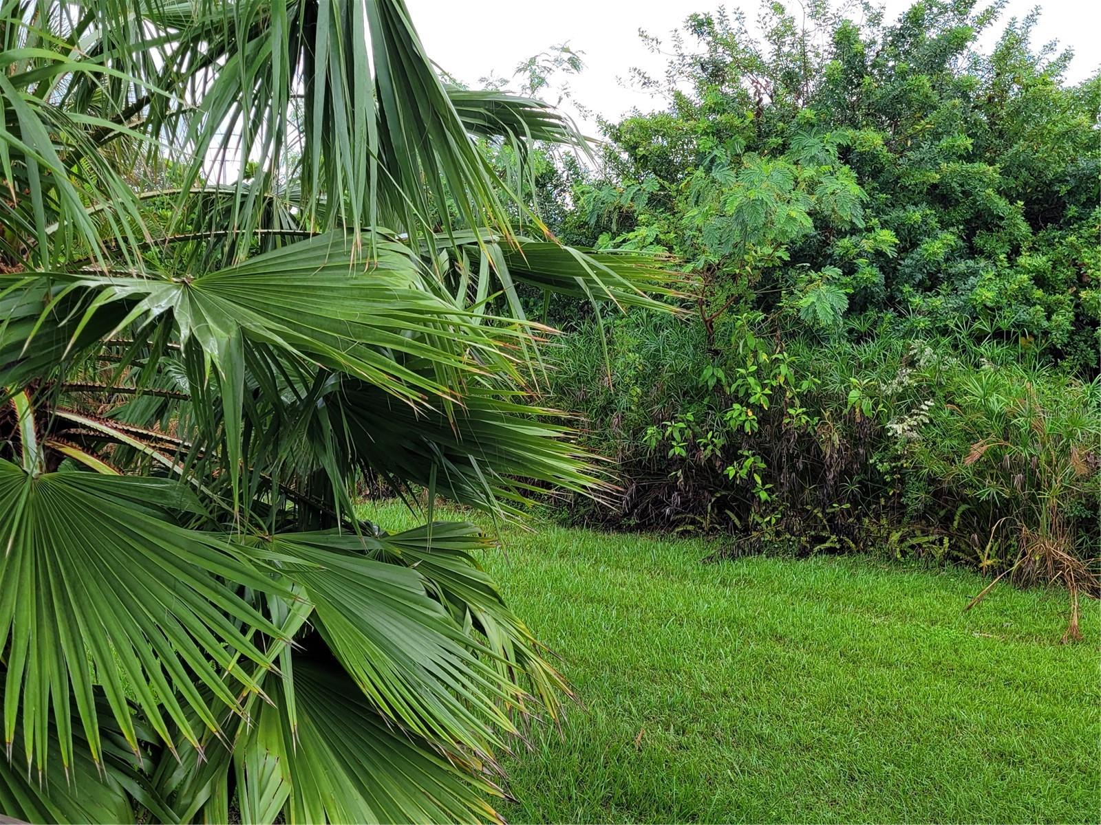 WATERWAYS PH 01 - Residential Lease