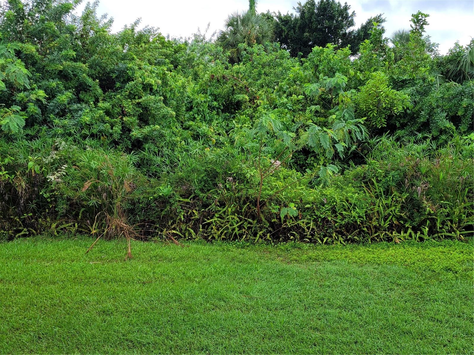 WATERWAYS PH 01 - Residential Lease