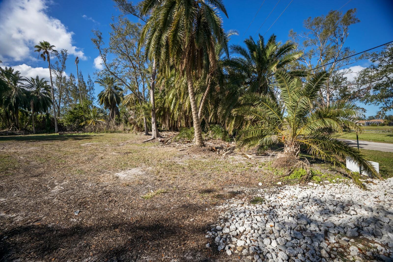 SOUTHERLY RIGHT -/- WAY LINE/9 - Land