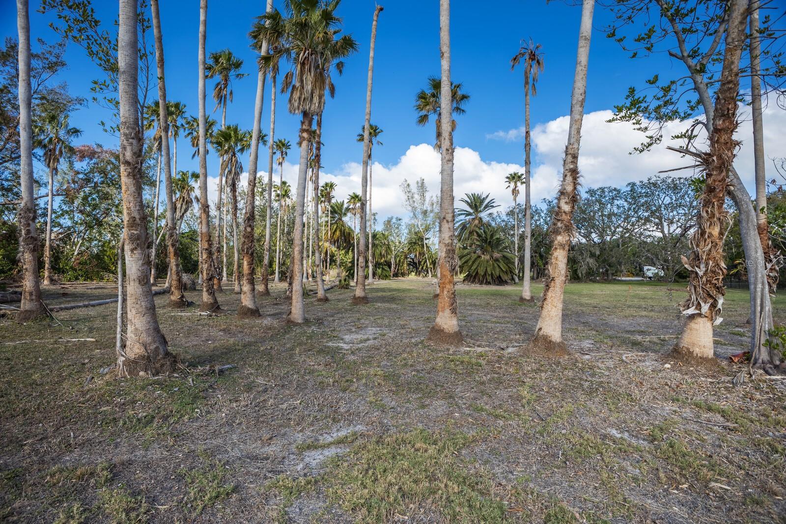 SOUTHERLY RIGHT -/- WAY LINE/9 - Land