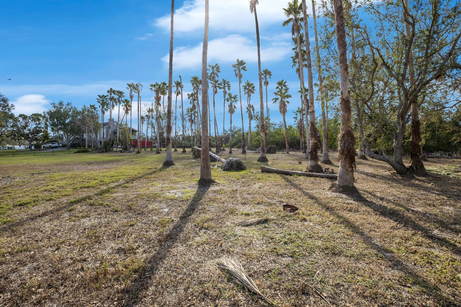 SOUTHERLY RIGHT -/- WAY LINE/9 - Land