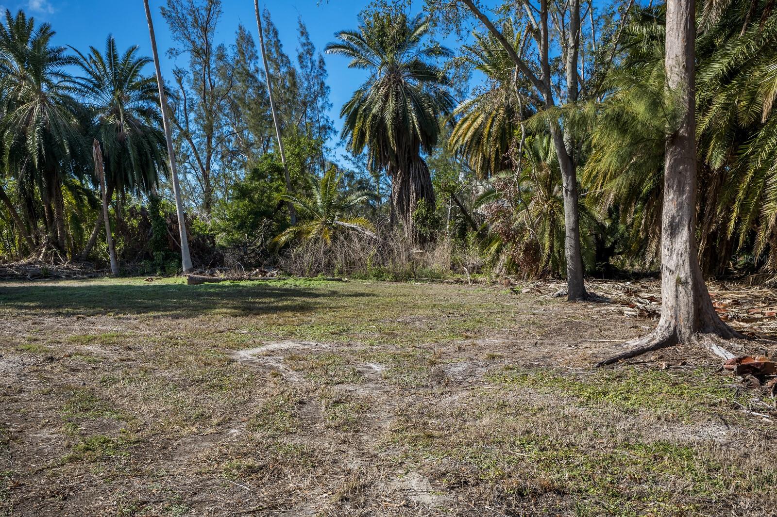 SOUTHERLY RIGHT -/- WAY LINE/9 - Land