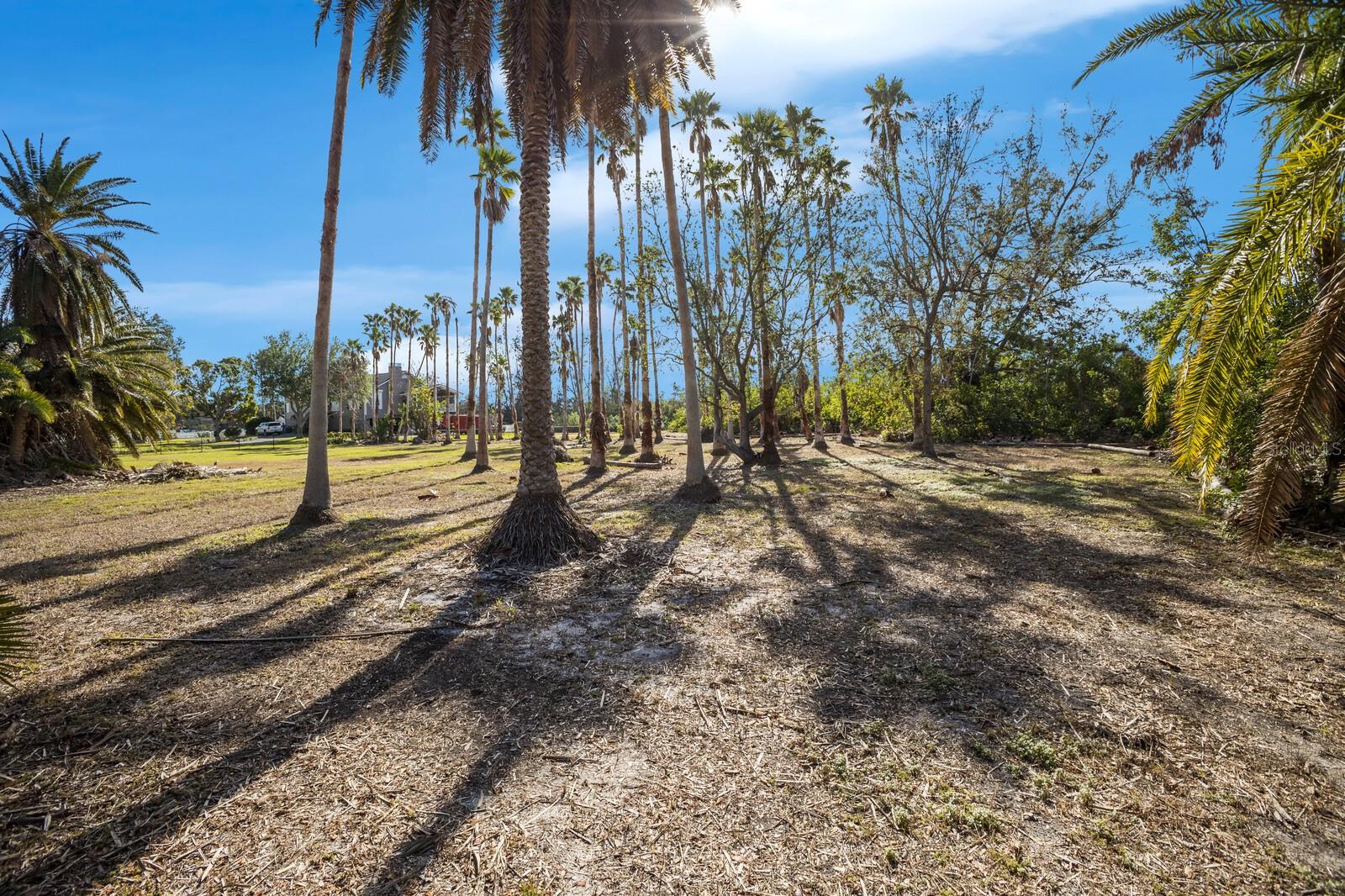 SOUTHERLY RIGHT -/- WAY LINE/9 - Land