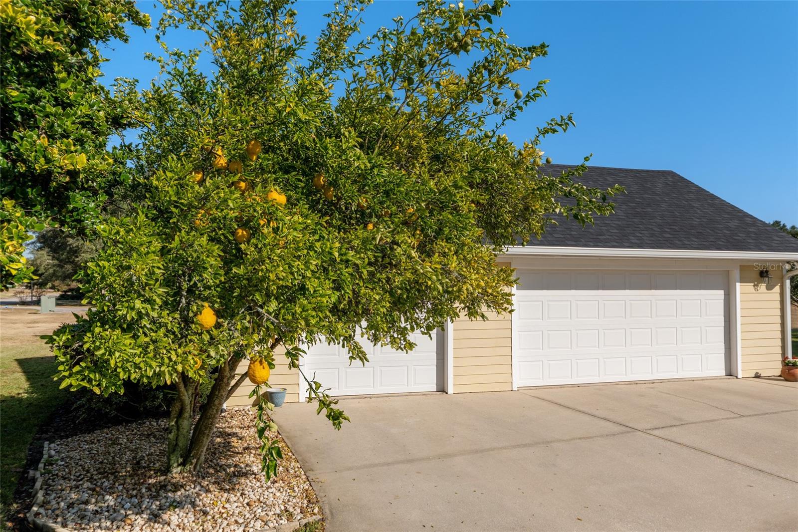 ABBEY GLEN - Residential