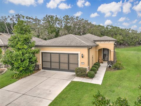9697 SW 63RD LOOP OCALA FL 34481