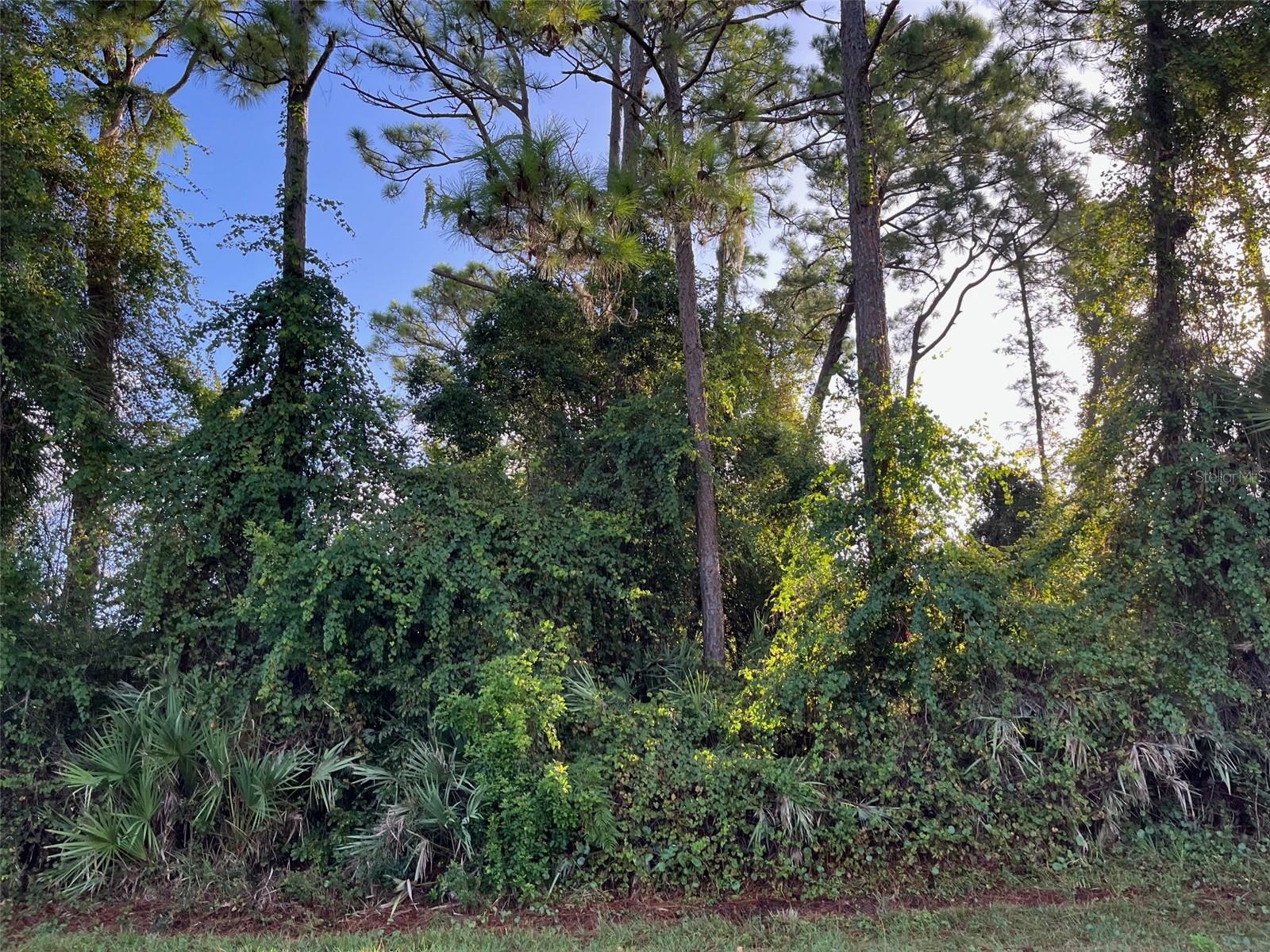 FLORIDA SHORES UNIT 1 REPLAT - Land