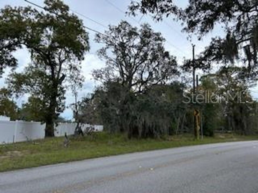 Golden Acres 1.01 acre Lot, prime buildable residential land. NOT a Flood Zone. Electric and Water nearby. Zoned Estate Residential allowing for Horses, Livestock.