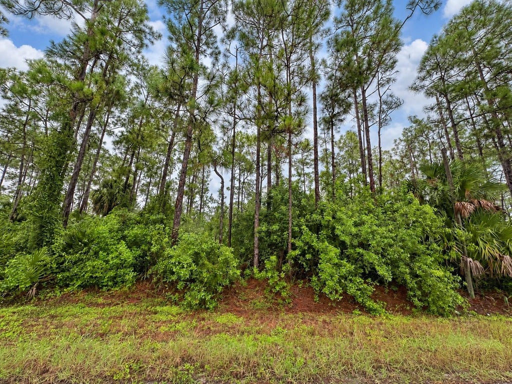 Photo of 6th Avenue NE, Naples, FL 34120 (MLS # A4708897)