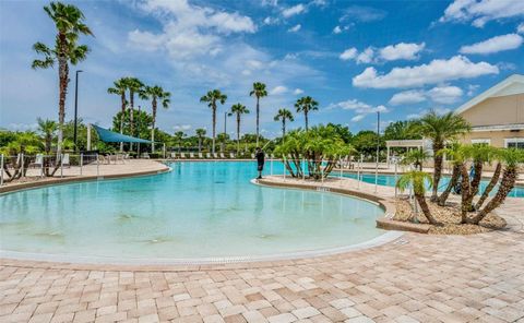 A home in MOUNT DORA