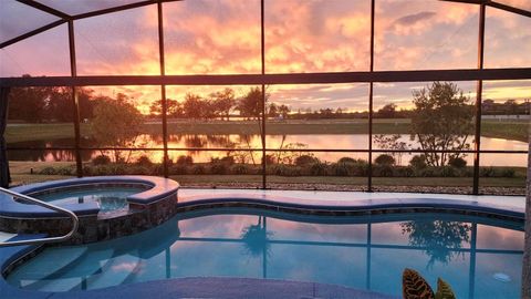 A home in MOUNT DORA