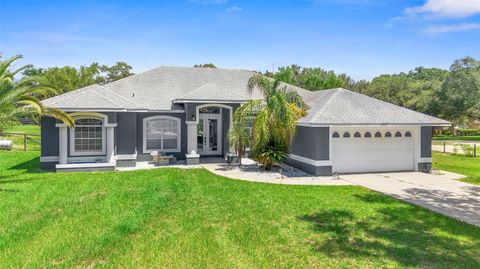 Photo of 25039 Adair Avenue, Sorrento, FL 32776 (MLS # O6336741)