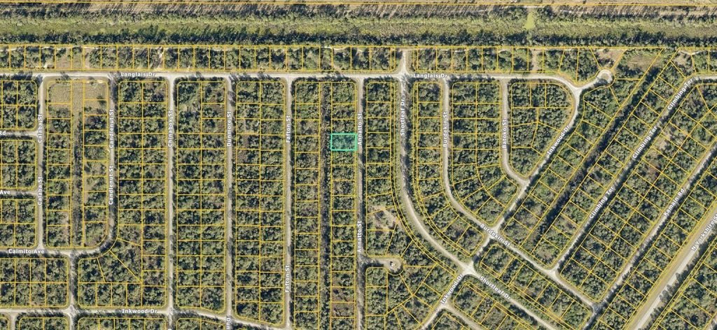 Photo of 1125230813 Annatto Street, North Port, FL 34288 (MLS # A4685917)