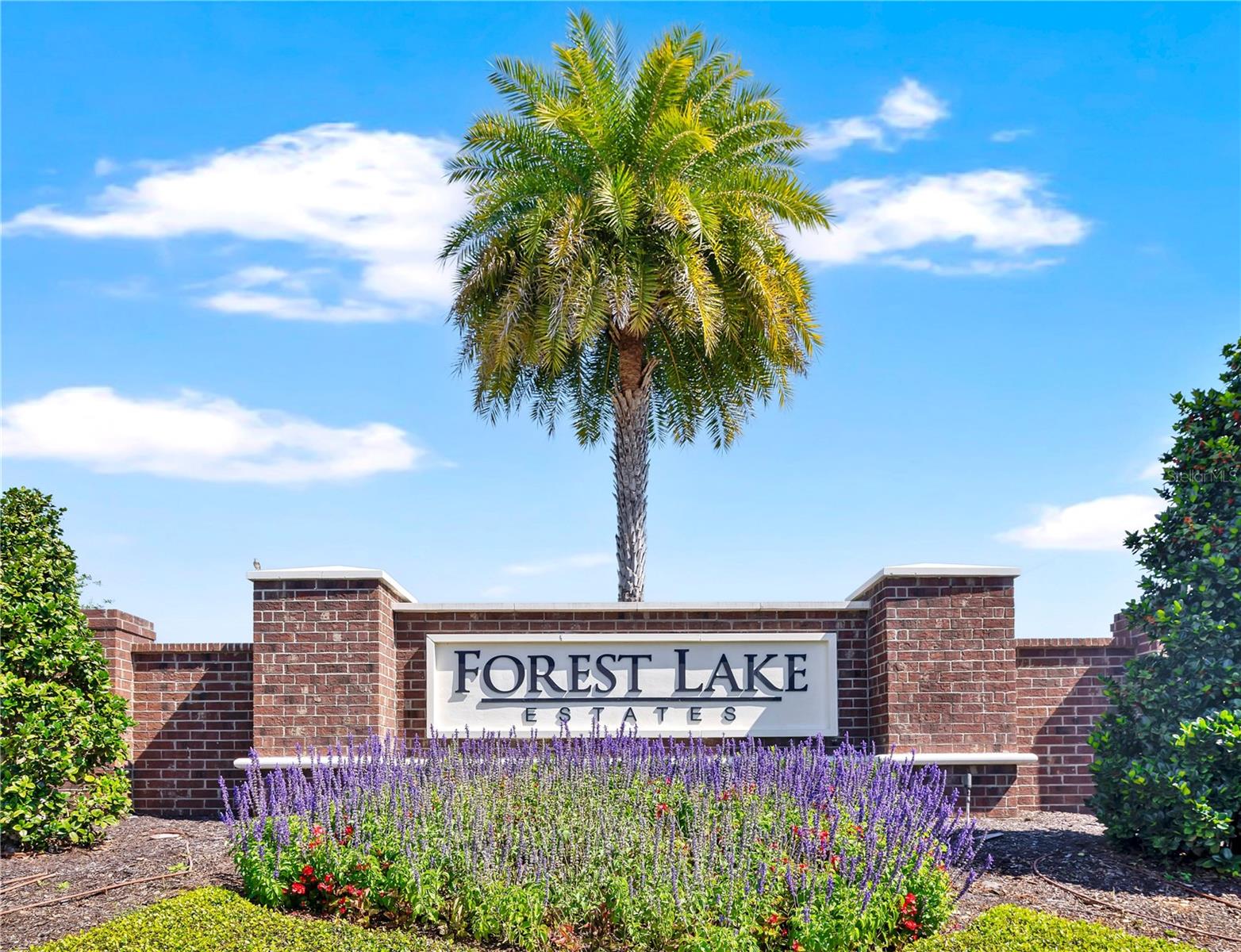 FOREST LAKE ESTATES - Residential