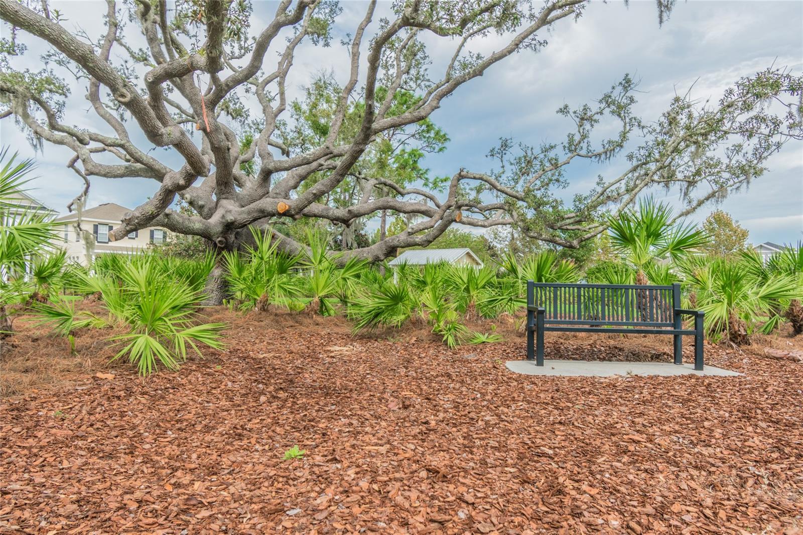 LONGLEAF NBRHD 3 - Residential