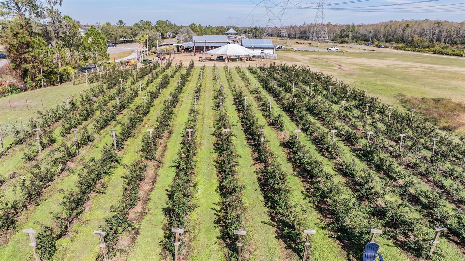 LONGLEAF NBRHD 3 - Residential