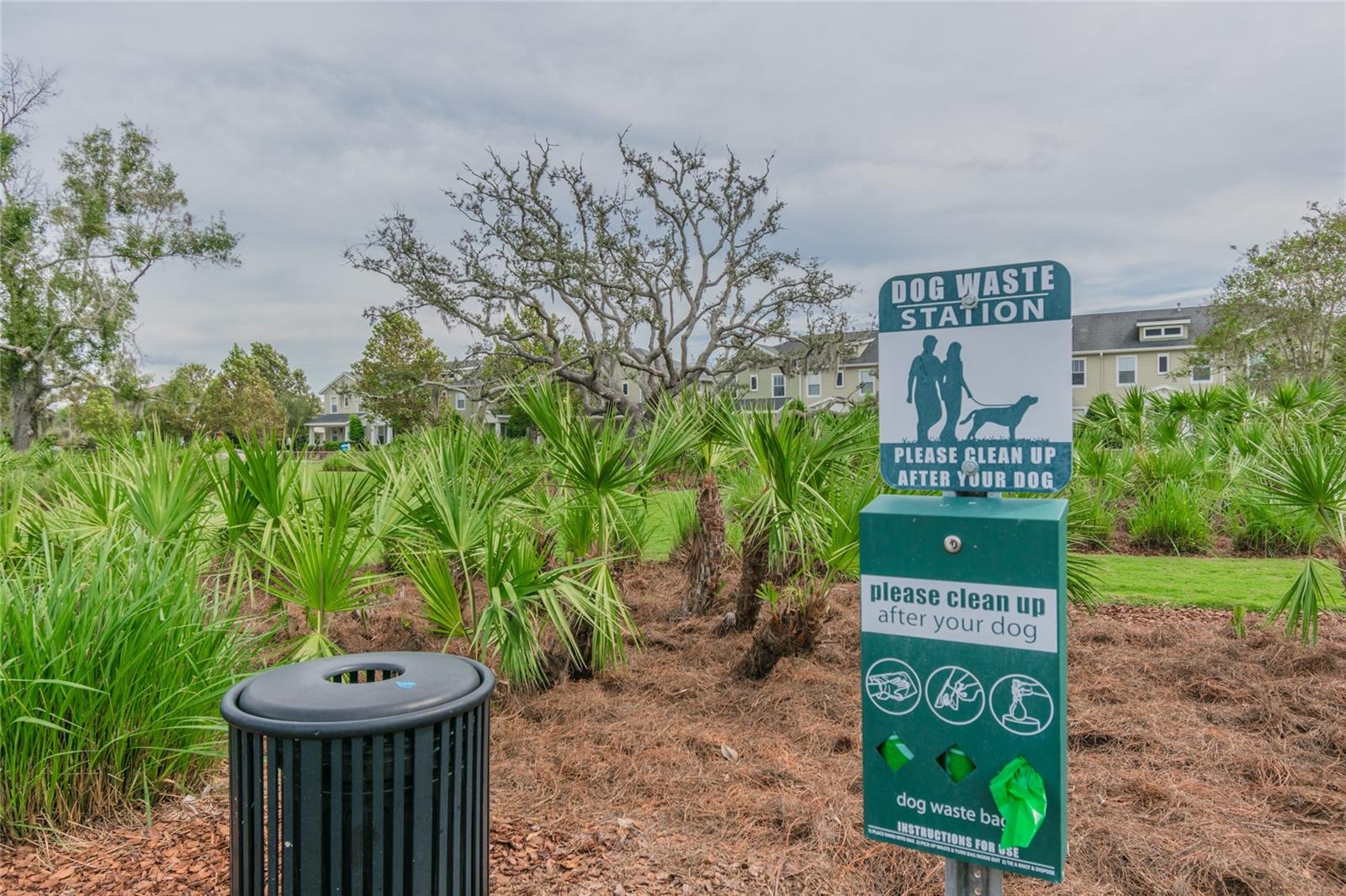 LONGLEAF NBRHD 3 - Residential