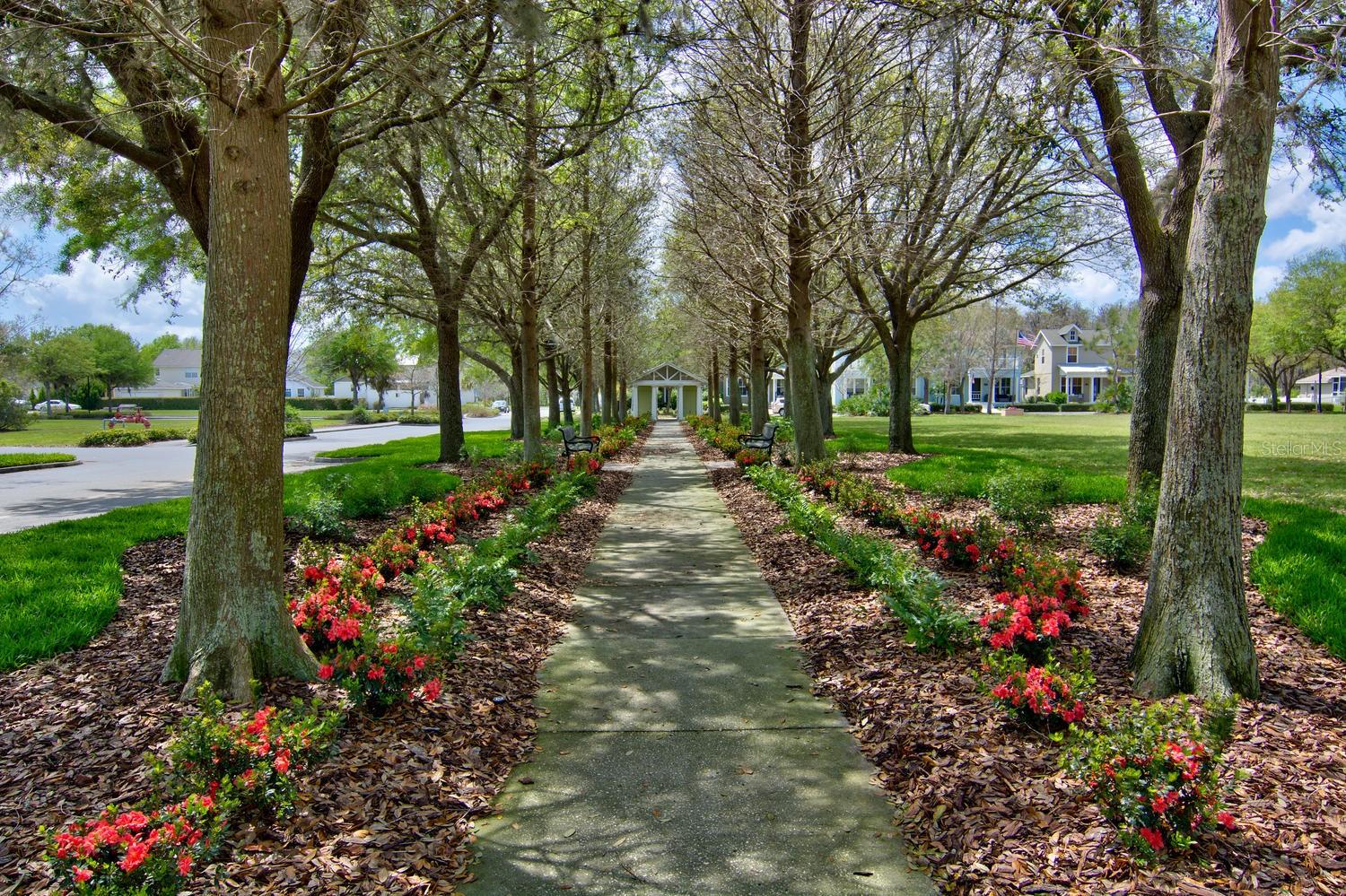 LONGLEAF NBRHD 3 - Residential